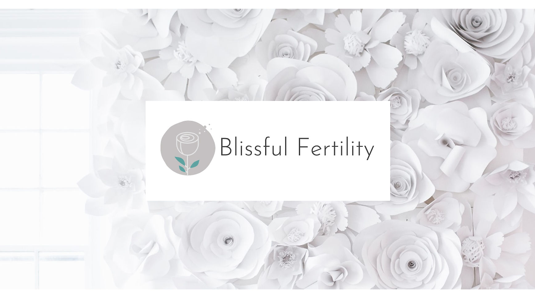 Blissful Fertility Egg Donation & Surrogacy Agency